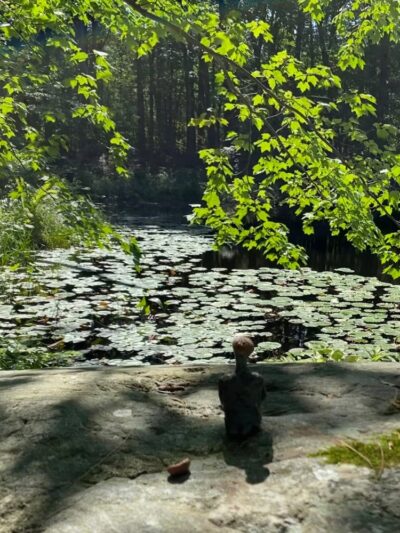 Old Frog Pond Farm - Harvard, MA