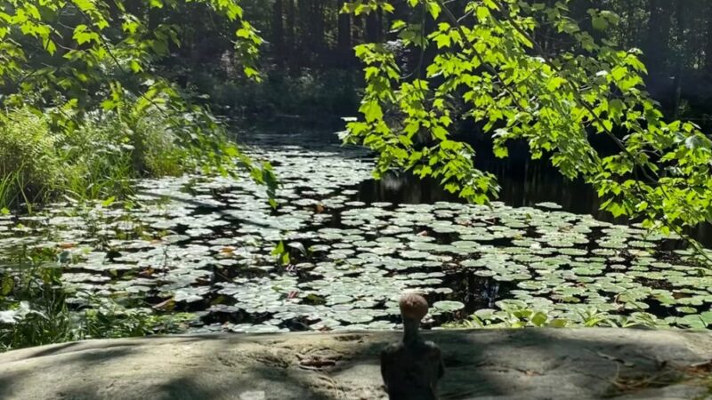 Old Frog Pond Farm - Harvard, MA