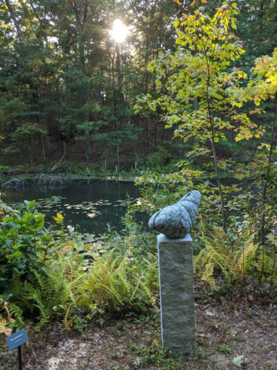 Old Frog Pond Farm - Harvard, MA