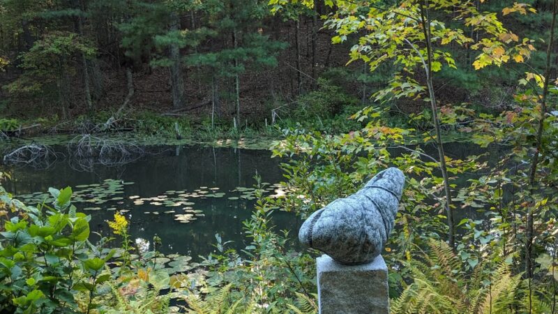Old Frog Pond Farm - Harvard, MA