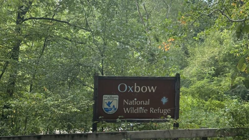 Oxbow National Wildlife Refuge - Harvard, MA