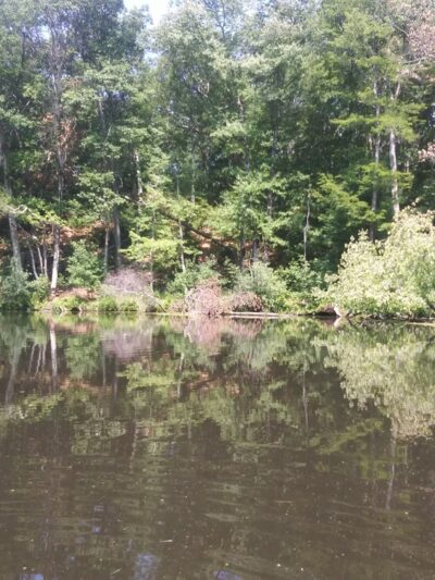 Oxbow National Wildlife Refuge - Harvard, MA