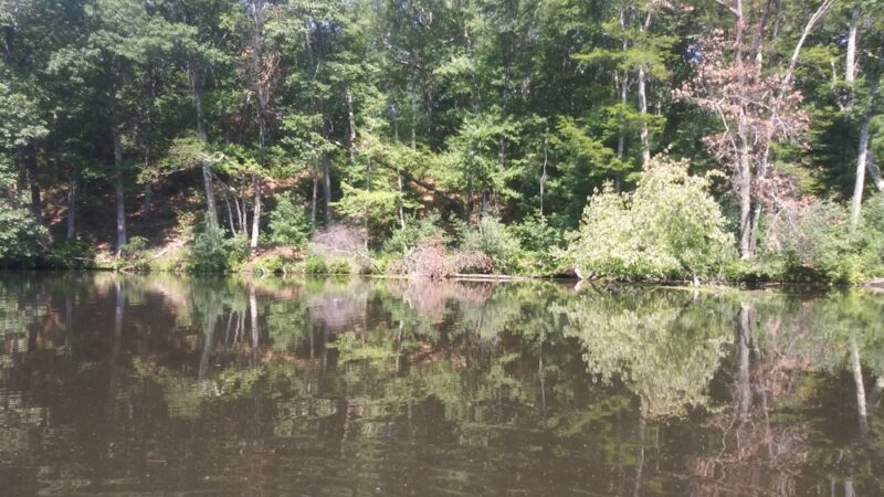 Oxbow National Wildlife Refuge - Harvard, MA