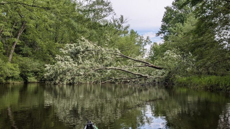 Oxbow National Wildlife Refuge - Harvard, MA