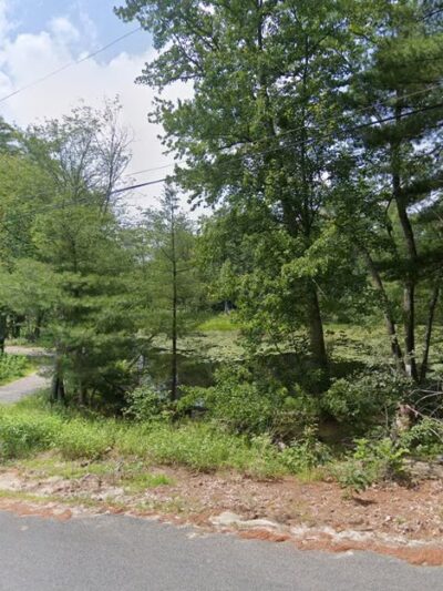 Williams Trails - Harvard, MA