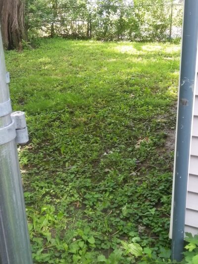 Ashland Park - Harvey, IL