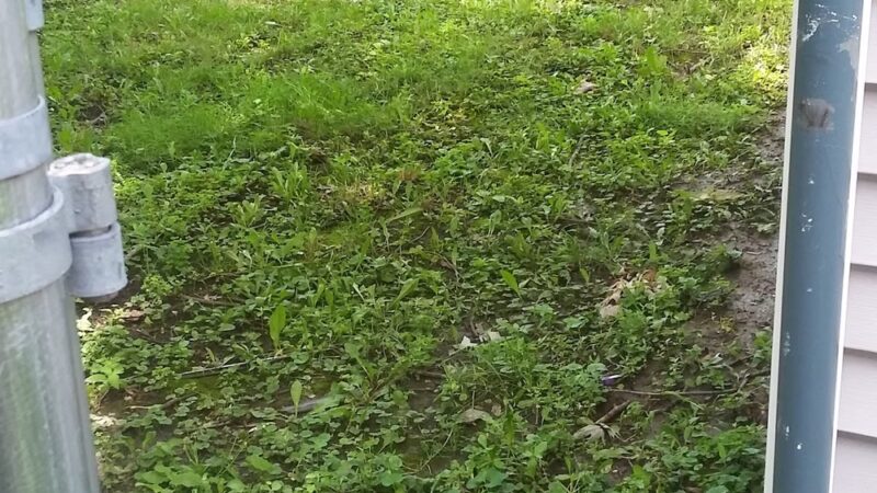 Ashland Park - Harvey, IL