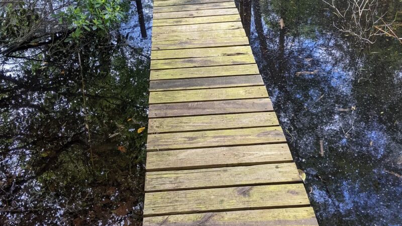 Forever Forest Harwinton Land Trust - Harwinton, CT