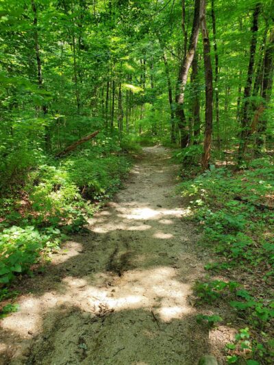 Harwinton Conservation and Recreation Area - Harwinton, CT