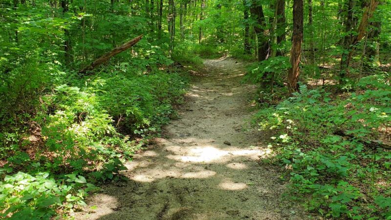Harwinton Conservation and Recreation Area - Harwinton, CT