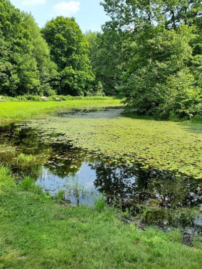 Harwinton Conservation and Recreation Area - Harwinton, CT