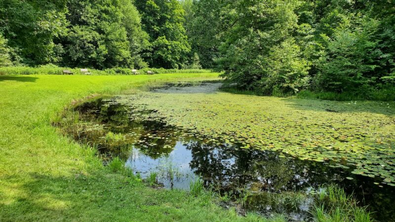 Harwinton Conservation and Recreation Area - Harwinton, CT