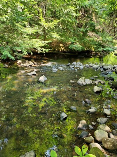 Harwinton Conservation and Recreation Area - Harwinton, CT