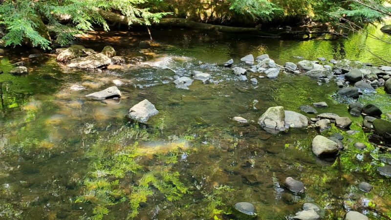 Harwinton Conservation and Recreation Area - Harwinton, CT