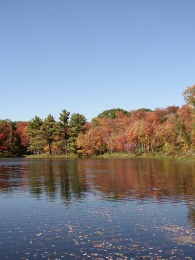 Harwinton Land Trust - Bull Pond Preserve - Harwinton, CT