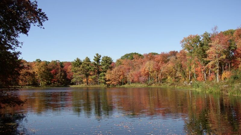 Harwinton Land Trust - Bull Pond Preserve - Harwinton, CT