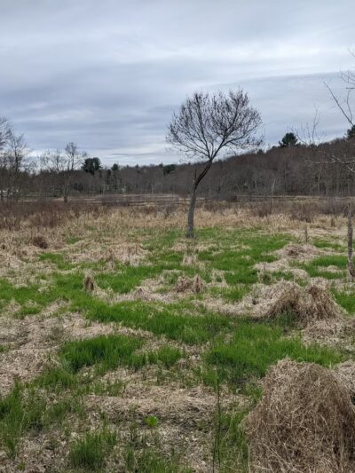 Harwinton Land Trust - Bull Pond Preserve - Harwinton, CT