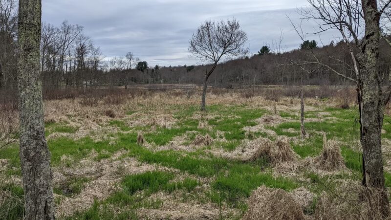 Harwinton Land Trust - Bull Pond Preserve - Harwinton, CT