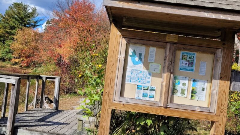 Harwinton Land Trust - Bull Pond Preserve - Harwinton, CT