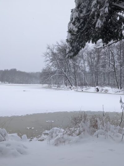 Harwinton Land Trust - Bull Pond Preserve - Harwinton, CT