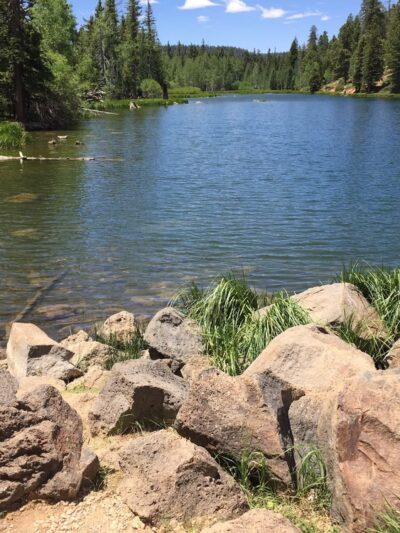 Robin's Roost - Hatch, UT