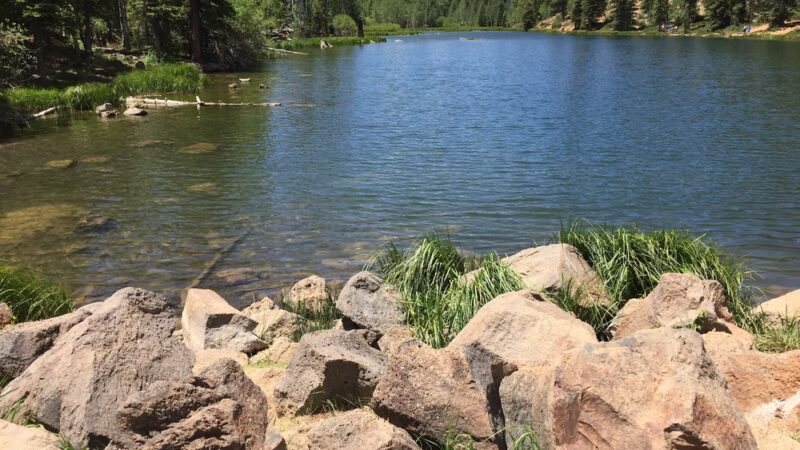 Robin's Roost - Hatch, UT