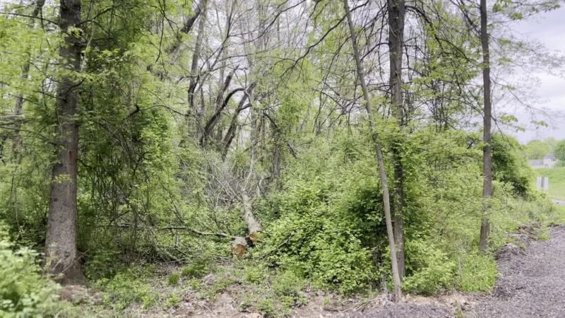 Frick's Trail - Hatfield, PA