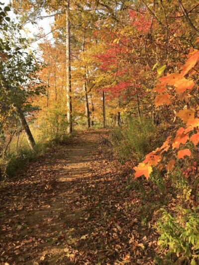 Mission Lake Park - Hatley, WI