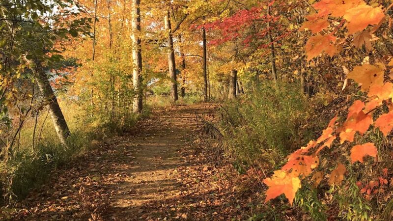 Mission Lake Park - Hatley, WI