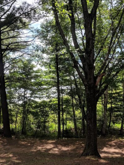 Mission Lake Park - Hatley, WI