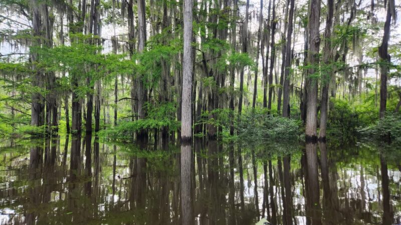 Bodcau Campgrounds - Haughton, LA