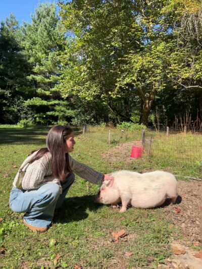 Emu Canyon Park - Haverford, PA