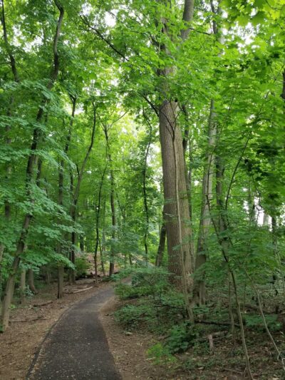 Haverford College Nature Trail - Haverford, PA