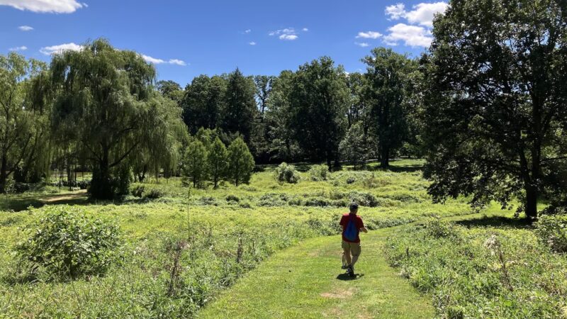 Haverford College Nature Trail - Haverford, PA