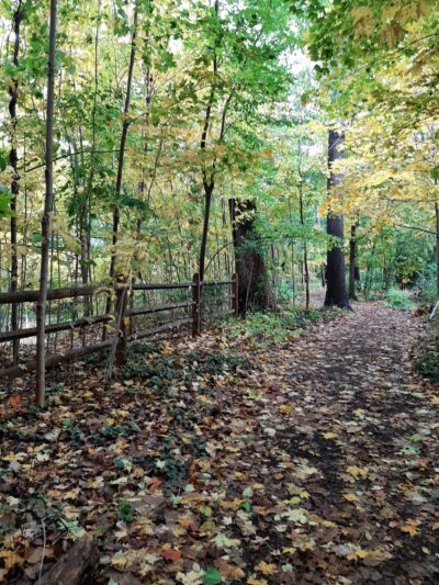 Haverford College Nature Trail - Haverford, PA