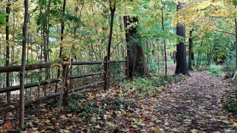 Haverford College Nature Trail - Haverford, PA