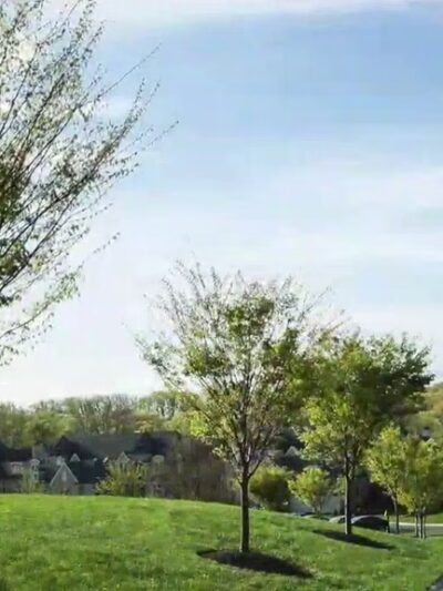 Haverford Reserve Meadow - Haverford, PA