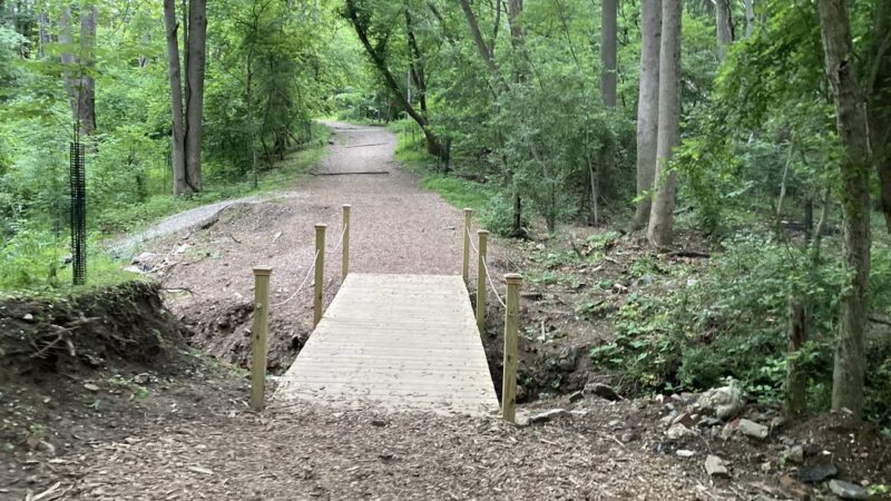 Haverford Reserve Meadow - Haverford, PA