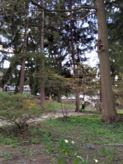 Sharpe Park and Bird Sanctuary - Haverford, PA