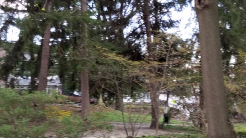 Sharpe Park and Bird Sanctuary - Haverford, PA