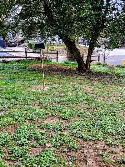 Sharpe Park and Bird Sanctuary - Haverford, PA