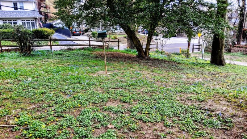 Sharpe Park and Bird Sanctuary - Haverford, PA