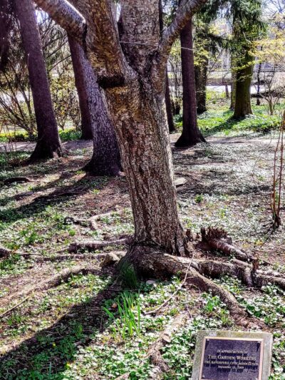 Sharpe Park and Bird Sanctuary - Haverford, PA