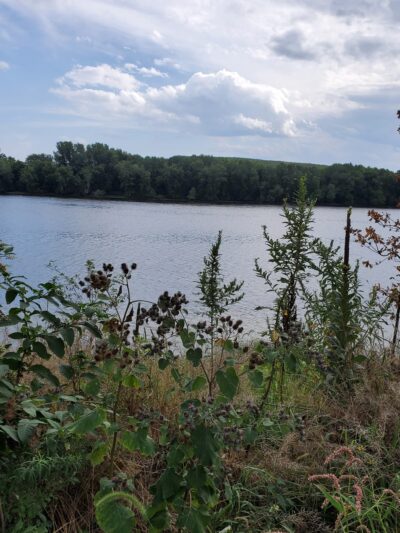 Riverside Park - Haverhill, MA