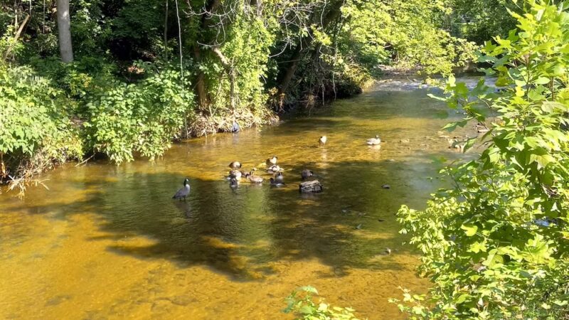 Darby Creek Trail - Havertown, PA