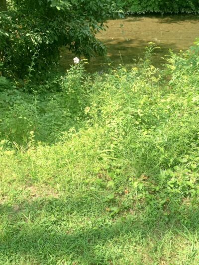 Darby Creek Trail - Havertown, PA