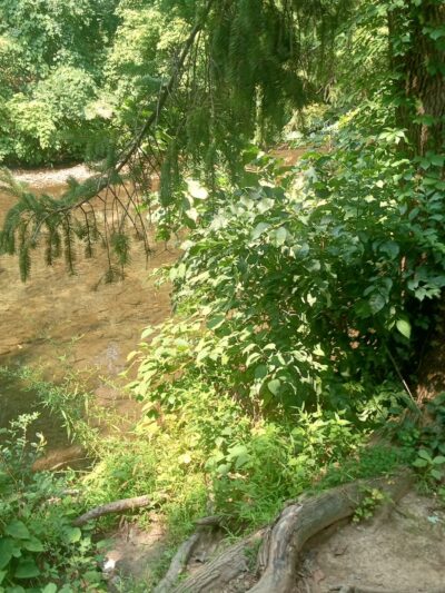 Darby Creek Trail - Havertown, PA