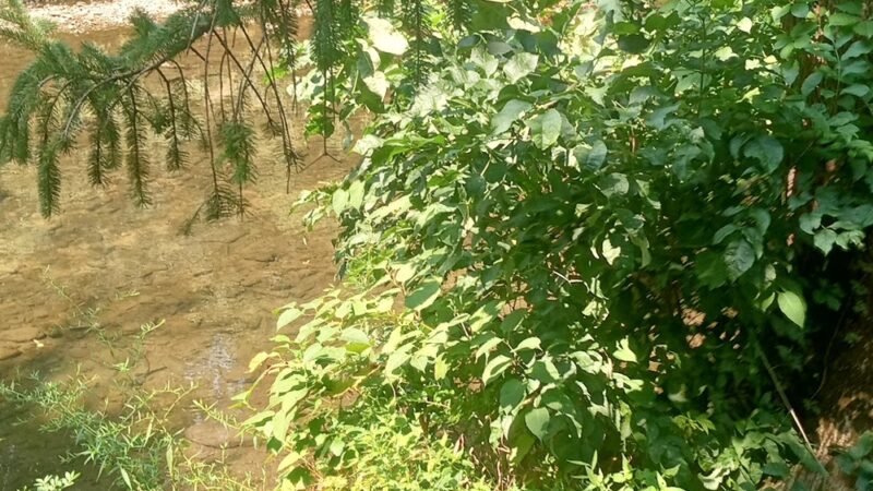 Darby Creek Trail - Havertown, PA