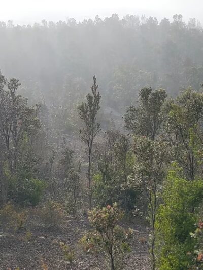 Byron Ledge Trail - Hawaii Volcanoes National Park, HI