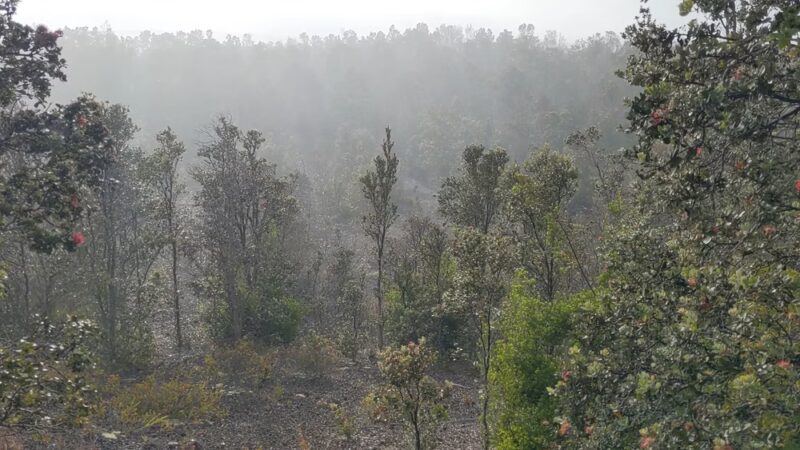 Byron Ledge Trail - Hawaii Volcanoes National Park, HI